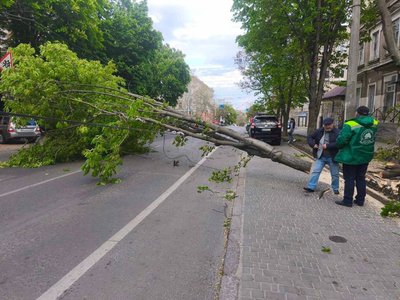 Через негоду на Одещині пошкоджені будинки та знеструмлені тисячі осель Через негоду на Одещині пошкоджені будинки та знеструмлені тисячі осель