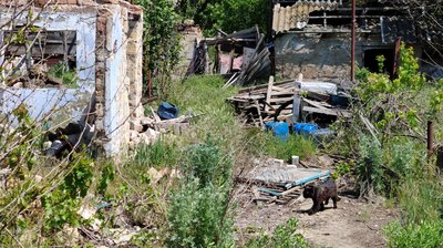 Пошкоджене подвір'я у селі Зоря, Миколаївщина Пошкоджене подвір'я у селі Зоря, Миколаївщина