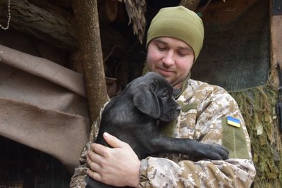 Воюють разом з нами: воїни 30 бригади з Житомирщини показали своїх фронтових тварин Воюють разом з нами: воїни 30 бригади з Житомирщини показали своїх фронтових тварин