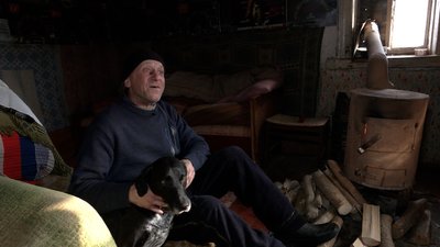 Клен американський на Чернігівщині: Леонід Гришков заготовляє дрова в себе на городі Клен американський на Чернігівщині: Леонід Гришков заготовляє дрова в себе на городі