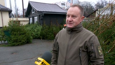 Купити ялинку в Чернігові: у місті почали продаж новорічних ялинок та сосен Купити ялинку в Чернігові: у місті почали продаж новорічних ялинок та сосен
