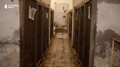 Відловлюють, стерилізують та чипують: в яких умовах в Одесі утримують безпритульних собак Відловлюють, стерилізують та чипують: в яких умовах в Одесі утримують безпритульних собак