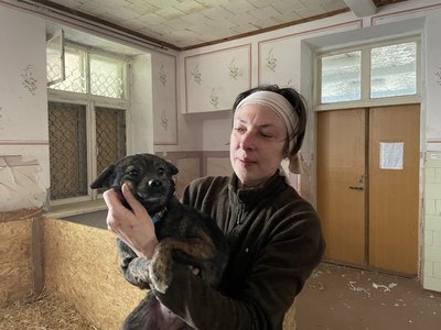 Більшість тварин вивезли із зони бойових дій. У херсонському притулку живуть понад 170 собак та котів Більшість тварин вивезли із зони бойових дій. У херсонському притулку живуть понад 170 собак та котів