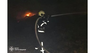 Пожежа на Чернігівщині: згоріли 4 тонни сіна Пожежа на Чернігівщині: згоріли 4 тонни сіна