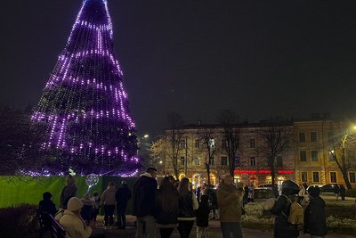 Головна ялинка чернівців Головна ялинка чернівців