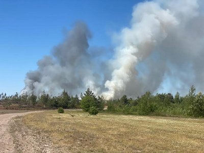 Пожежа в лісі на Рівненщині Пожежа в лісі на Рівненщині