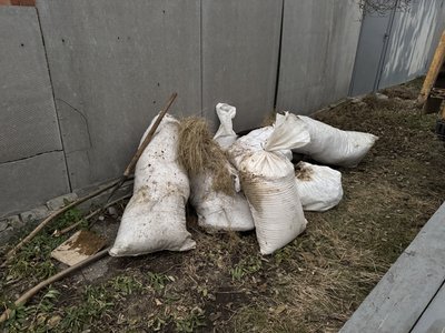 "В центрі Сум, зате – з коровою". Як евакуйована з коровою родина облаштувалася в Сумах "В центрі Сум, зате – з коровою". Як евакуйована з коровою родина облаштувалася в Сумах