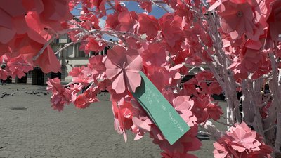 В Ужгороді розпочався "Сакура Фест" В Ужгороді розпочався "Сакура Фест"