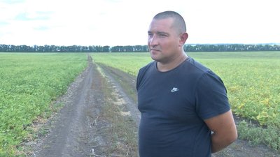 На Полтавщині через засуху прогнозують низьку урожайність сої