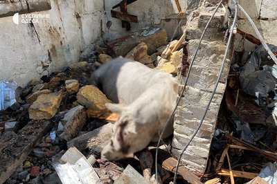 Пошкодження будинків, СТО та стайні: фото наслідків дронової атаки на Одесу Пошкодження будинків, СТО та стайні: фото наслідків дронової атаки на Одесу