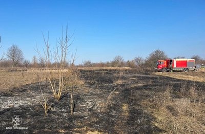 На Черкащині через необережність вигоріло понад два гектари сухостою На Черкащині через необережність вигоріло понад два гектари сухостою