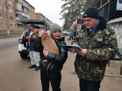 На Полтавщині розпочали планово щеплювати від сказу домашніх тварин На Полтавщині розпочали планово щеплювати від сказу домашніх тварин