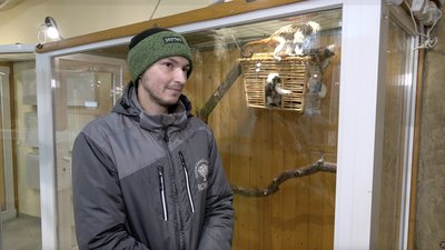 Ведмеді лягають у сплячку: як черкаський зоопарк готується до зими