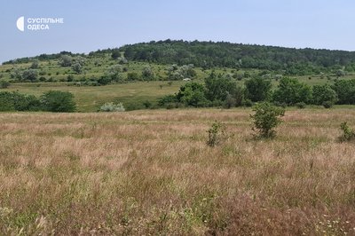 Кулани, олені та байбаки — нові жителі заповідника "Асканія-Нова" на Одещині