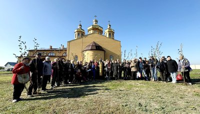 Сад Перемоги, фундук, догляд за деревами Сад Перемоги, фундук, догляд за деревами