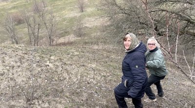 Розорюють все ближче: на Черкащині цвітуть червонокнижні шафрани і брандушки Розорюють все ближче: на Черкащині цвітуть червонокнижні шафрани і брандушки