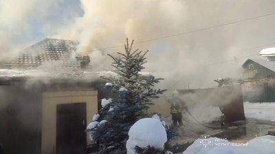 В одній із пожеж рятувальники врятували кота: на Чернігівщині горіли сім жилих будинків В одній із пожеж рятувальники врятували кота: на Чернігівщині горіли сім жилих будинків