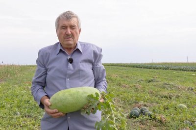 Господар з Хмельниччини розповів про те, як вирощує та зберігає кавуни, вересень 2024 року, Хмельниччина Господар з Хмельниччини розповів про те, як вирощує та зберігає кавуни, вересень 2024 року, Хмельниччина