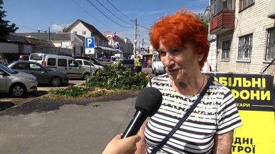 Негода на Житомирщині: повалені дерева та обірвані лінії електропередач Негода на Житомирщині: повалені дерева та обірвані лінії електропередач