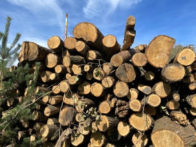 Дрова, які закупили для опалення ліцею Дрова, які закупили для опалення ліцею