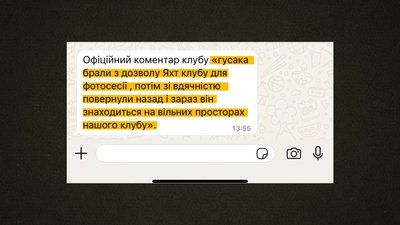 "Для птаха це — грань смерті» Троє жінок зловили гусака у Дніпрі для фотосесії "Для птаха це — грань смерті» Троє жінок зловили гусака у Дніпрі для фотосесії