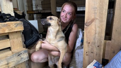 Зоозахисниця Анастасія з собакою Нюшею Дружківка Донецька область 16 серпня 2025 рік Зоозахисниця Анастасія з собакою Нюшею Дружківка Донецька область 16 серпня 2025 рік