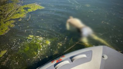 У Чернігові знайшли тіло чоловіка, який потонув на озері Земснаряд У Чернігові знайшли тіло чоловіка, який потонув на озері Земснаряд
