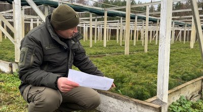 "Щоб мати гарне дерево – потрібно 10 років": як вирощують та де придбати новорічну ялинку на Рівненщині "Щоб мати гарне дерево – потрібно 10 років": як вирощують та де придбати новорічну ялинку на Рівненщині