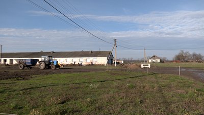 Стадо — "під ніж": ферма на Черкащині опинилася під загрозою закриття Стадо — "під ніж": ферма на Черкащині опинилася під загрозою закриття