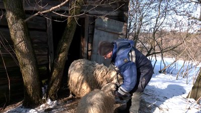 Відкрив ФОП і став фермером на прикордонні Чернігівщини: як господарює житель Кам’янської Слободи, що за 8 км від Росії Відкрив ФОП і став фермером на прикордонні Чернігівщини: як господарює житель Кам’янської Слободи, що за 8 км від Росії