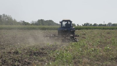 Втрата урожаю через негоду на Вінниччині: чи отримають фермери компенсацію за збитки Втрата урожаю через негоду на Вінниччині: чи отримають фермери компенсацію за збитки