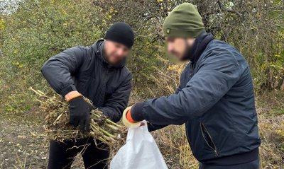Поліцейські Черкащини знайшли наркопосів вартістю близько 3 мільйонів гривень Поліцейські Черкащини знайшли наркопосів вартістю близько 3 мільйонів гривень
