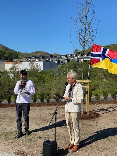 дерево дружби, Єздал, Норвегія дерево дружби, Єздал, Норвегія