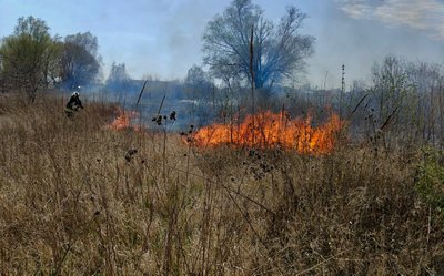 На Черкащині вигоріло майже сім гектарів сухої рослинності та очерету На Черкащині вигоріло майже сім гектарів сухої рослинності та очерету
