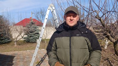 Володимир Лаврів, як обрізати дерева, обрізка дерев Володимир Лаврів, як обрізати дерева, обрізка дерев