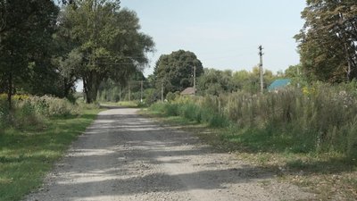 "Хата в хату були люди": історія села Ниви-Золочівські на Рівненщині "Хата в хату були люди": історія села Ниви-Золочівські на Рівненщині