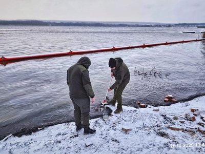 Забруднення Ладижинського водосховища: чи є загроза для риби та екосистеми Забруднення Ладижинського водосховища: чи є загроза для риби та екосистеми