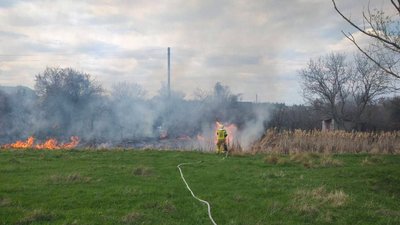 На Черкащині горів сухостій На Черкащині горів сухостій