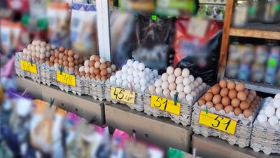 На Кіровоградщині перед Великоднем подорожчали яйця: чи подешевшають після На Кіровоградщині перед Великоднем подорожчали яйця: чи подешевшають після