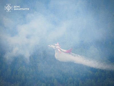 Лісову пожежу у Мукачівському районі локалізували: що відомо Лісову пожежу у Мукачівському районі локалізували: що відомо