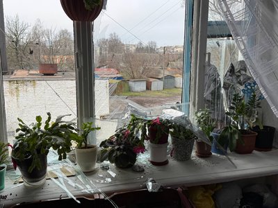 Глухів