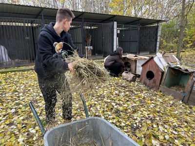 Зимовий прихисток для безпритульних тварин у Житомирі Зимовий прихисток для безпритульних тварин у Житомирі