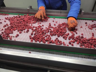 малина, заморожені ягоди малина, заморожені ягоди