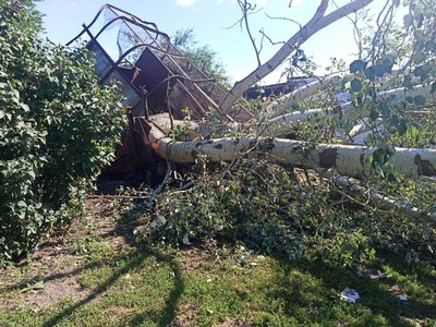 Повалені дерева у селі Іванівка на Полтавщині Повалені дерева у селі Іванівка на Полтавщині