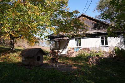 Селище Бойки, хата