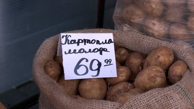 Скільки коштують молоді овочі на Житньому ринку у Житомирі: чи зросли ціни і чи є попит Скільки коштують молоді овочі на Житньому ринку у Житомирі: чи зросли ціни і чи є попит