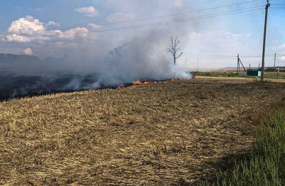 Горіли стерня і сухостій: на Черкащині за добу сталися три пожежі на відкритих територіях