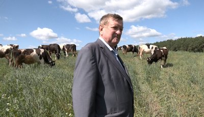 Кількість корів на Волині зменшилась: що кажуть в департаменті АПК, фермери та одноосібники Кількість корів на Волині зменшилась: що кажуть в департаменті АПК, фермери та одноосібники