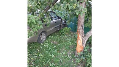 На Черкащині водійка напідпитку в'їхала у паркан та дерево: двох дітей госпіталізували На Черкащині водійка напідпитку в'їхала у паркан та дерево: двох дітей госпіталізували
