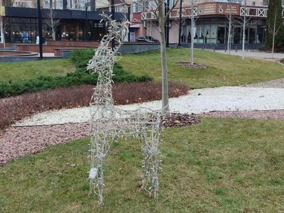 У Черкасах у сквері "Юність" встановлюють ялинку У Черкасах у сквері "Юність" встановлюють ялинку
